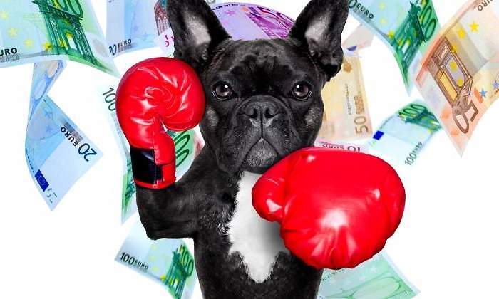 perro-billetes.jpg
