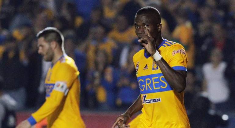 Tigres-extranjeros-reuters.jpg