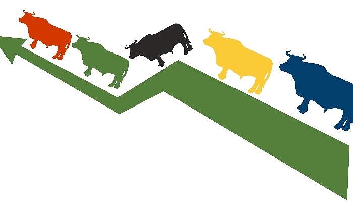 flecha-sube-toro-dreamstime.jpg