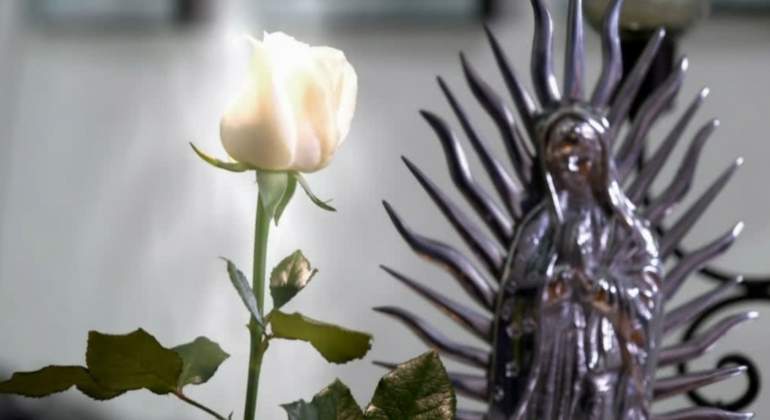 la-rosa-de-guadalupe.jpg