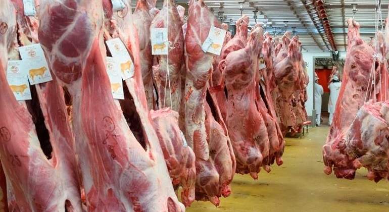 CARNE.jpg