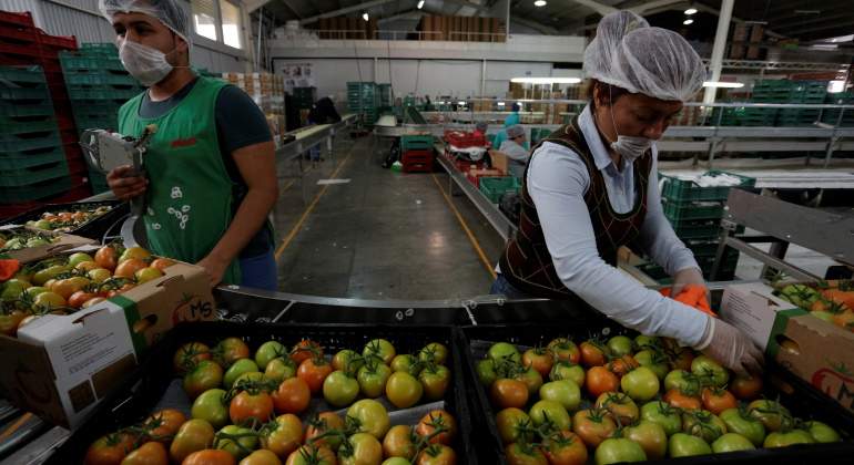 Tomates-mexicanos-Reuters.jpg