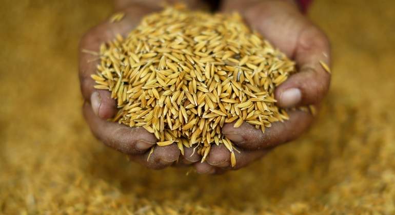 agricultura-reuters-770.jpg