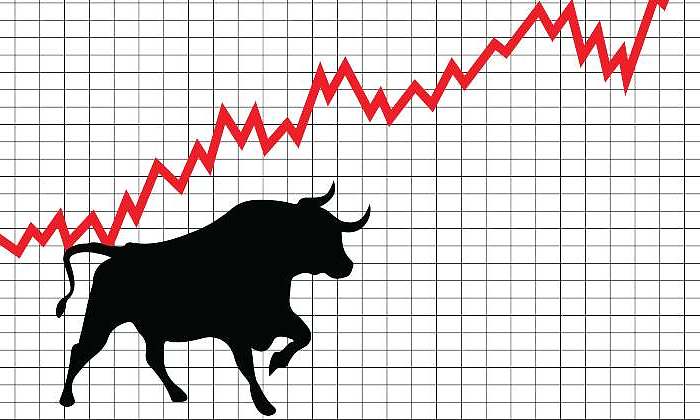 toro-grafico-rojo-dremastime.jpg