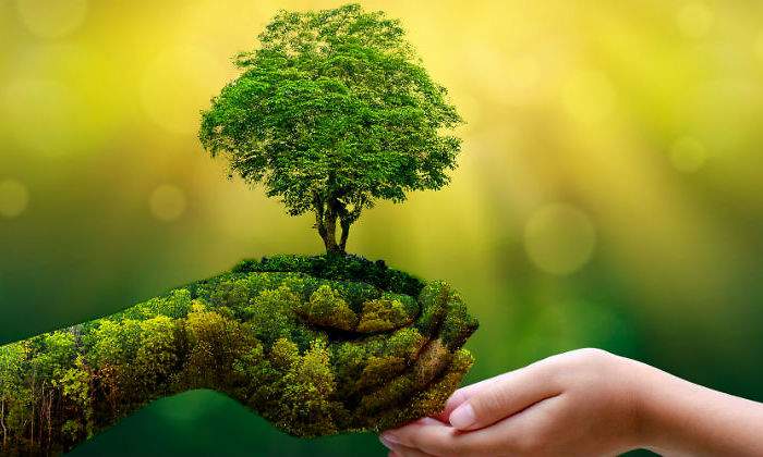 nature-defini.jpg