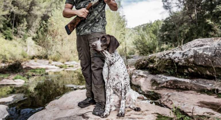 Perro-de-Caza.jpg