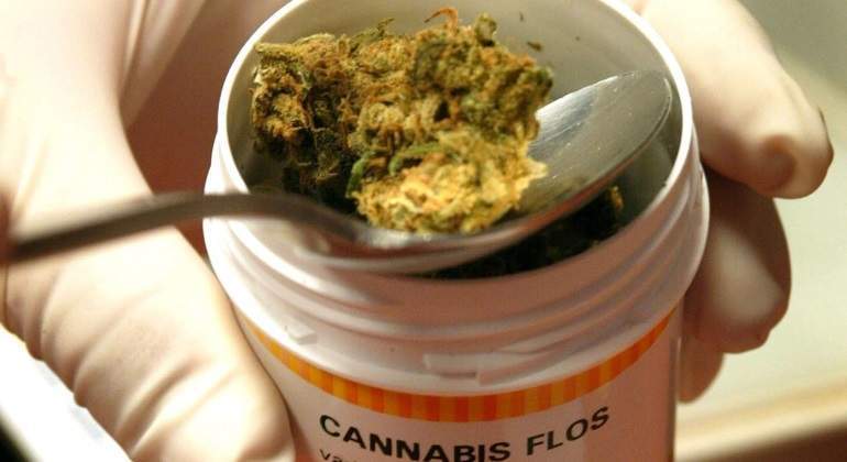 marihuana-medicinal-istock-770.jpg