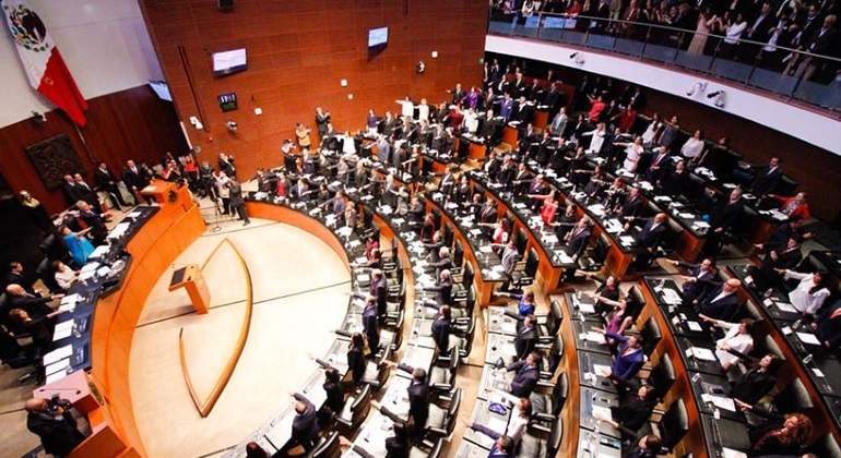 senado