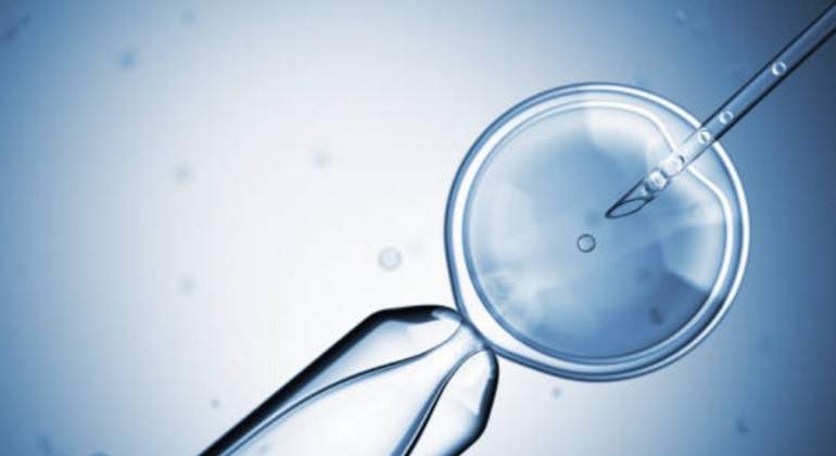 fecundacion-in-vitro-istock-770.jpg