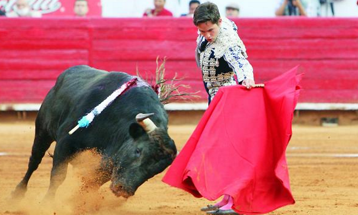 toros