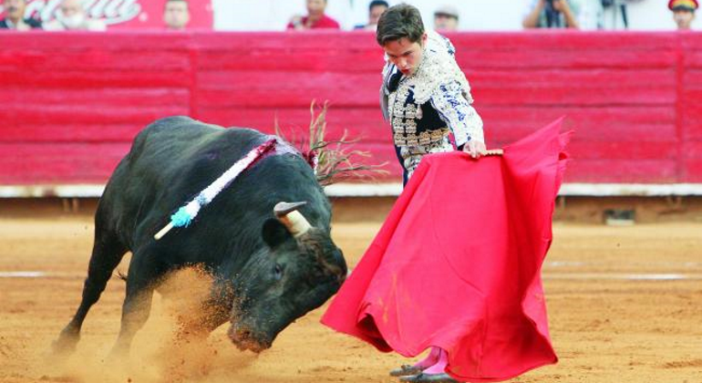 toros
