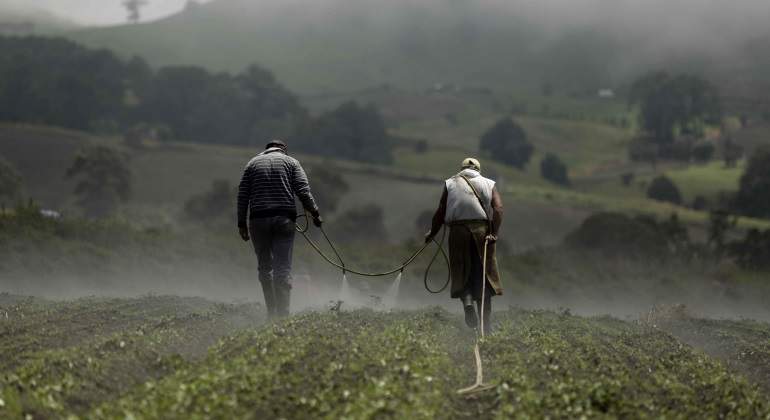 agricultura-efe-770x420.jpg