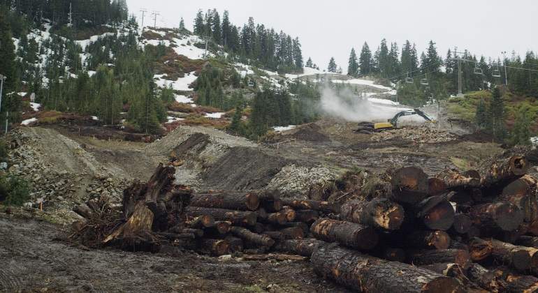 Madera-canadiense-reuters-770.jpg