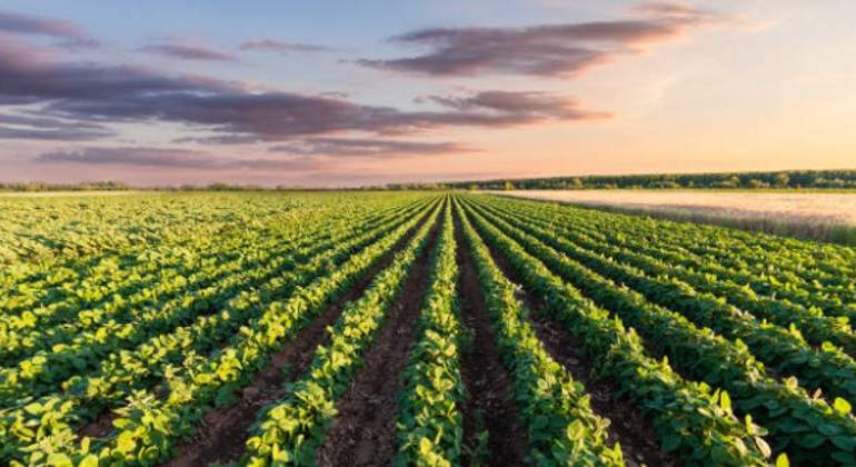 Agricultura-istock-770.jpg