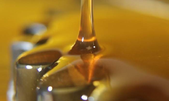 CannabisAceite770.jpg