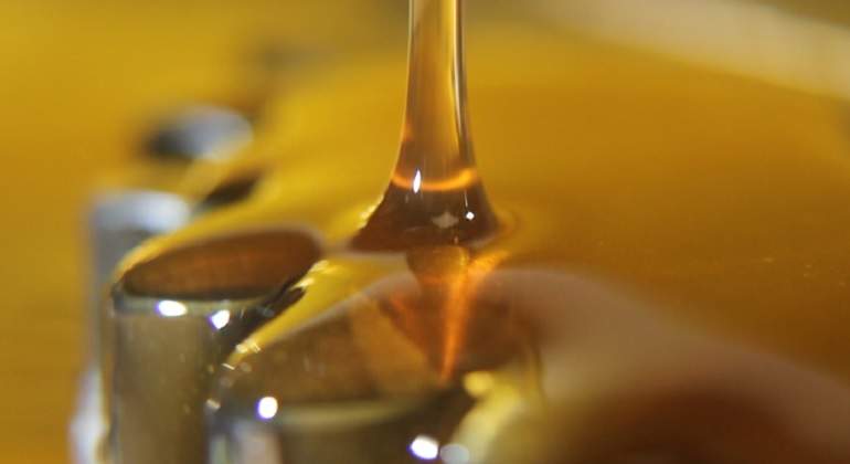 CannabisAceite770.jpg