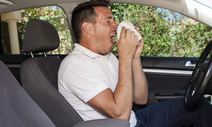 alergia-conduccion-dreamstime.jpg