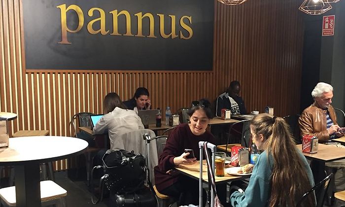 pannus1.png