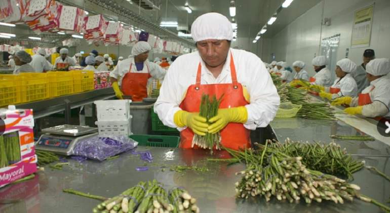 agroexpor770x420.jpg