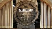 codorniu-barril-museo.jpg