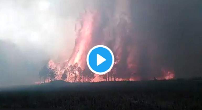 incendio-veracruz-770-420--video.jpg
