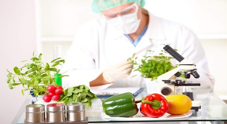 Alimentos