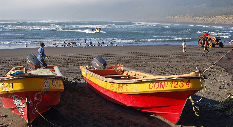 pesca-chile-efe.png