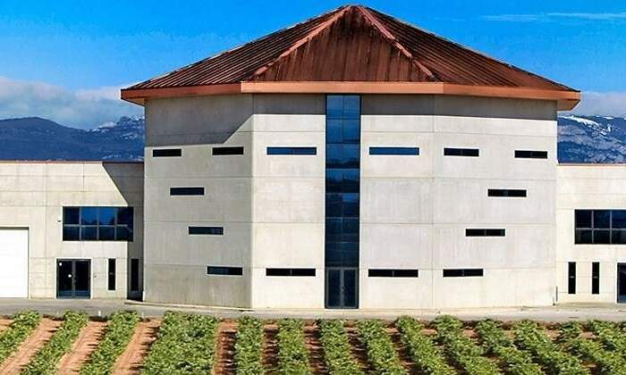 770x420-bodegas-bornos-rioja-alta.jpg