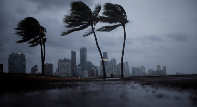 huracan-irma-miami-palmeras-viento-reuters-770x420.png