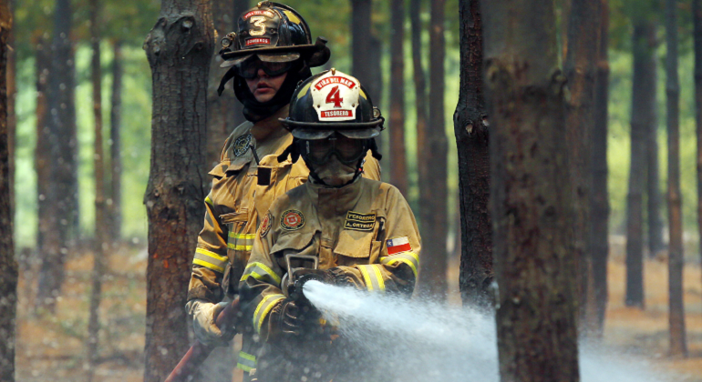 incendios-forestales-foto-efe.png