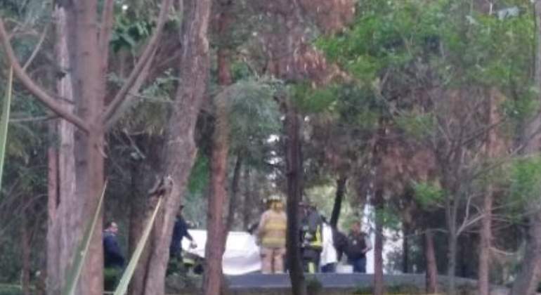 parque-lira-cdmx-indigentes-calcinados.jpg