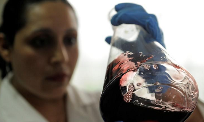 vino-prueba.cientifica-reuters.png