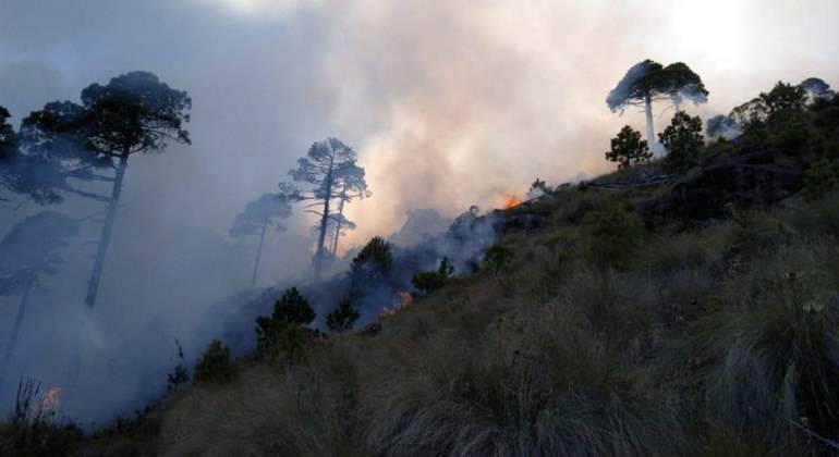 Parque-Cofre-de-Perote-incendio-especial.jpg