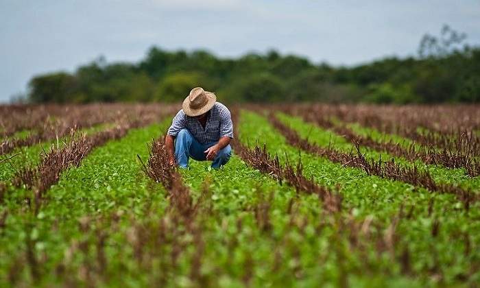 agricultura770.jpg