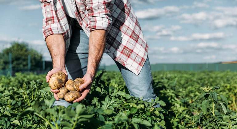Agricultura