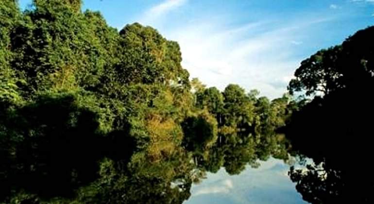 Amazonia