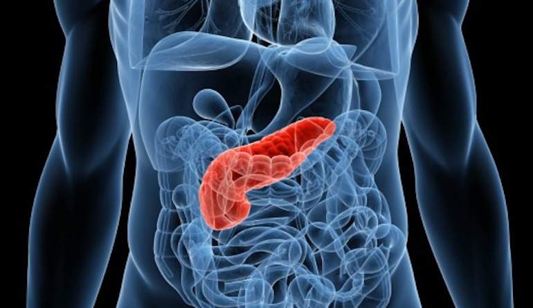 pancreas.jpg