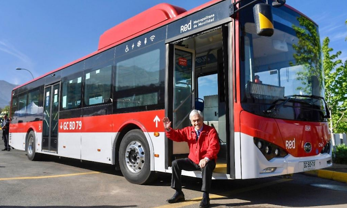 pinerabus.png