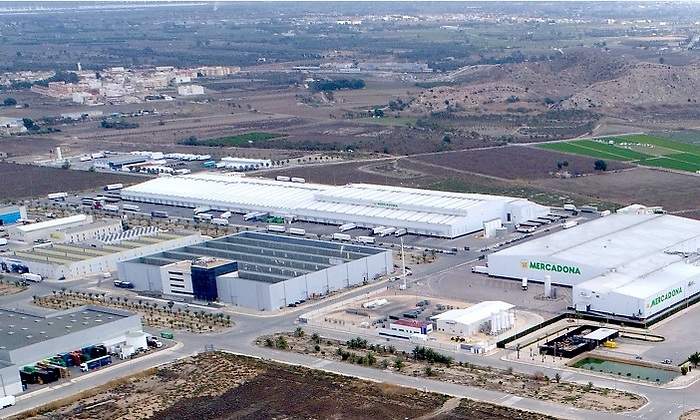Mercadona-Alicante.jpg
