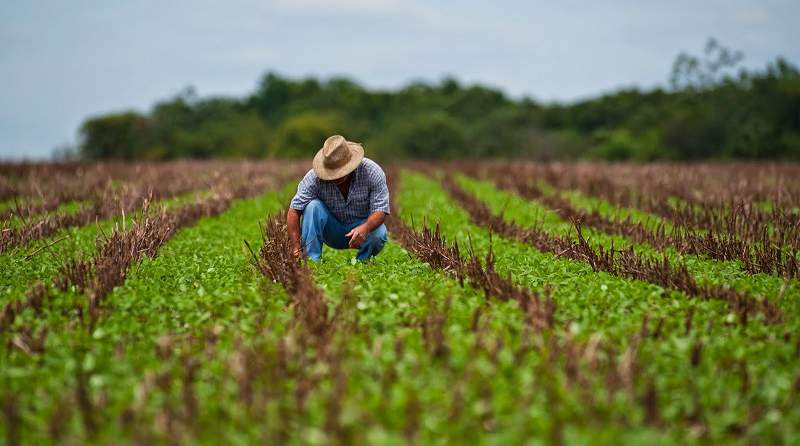 agro770.jpg