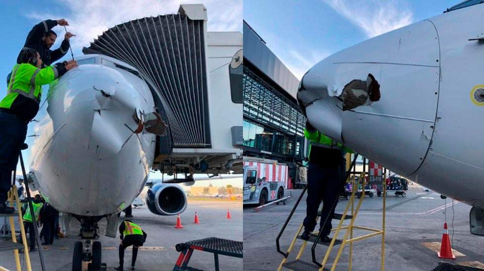 avion dron