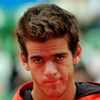 Juan Martín del Potro