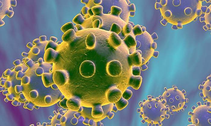 coronavirus.jpg