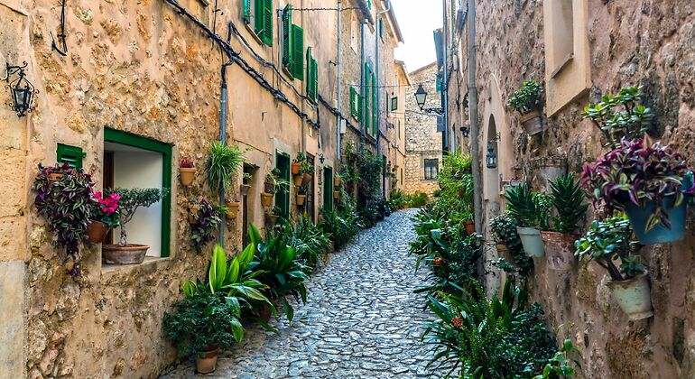 Calle empedrada con plantas en las fachadas