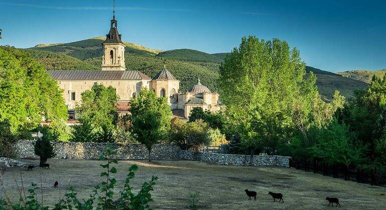 El monasterio de El Paular rodeado de árboles