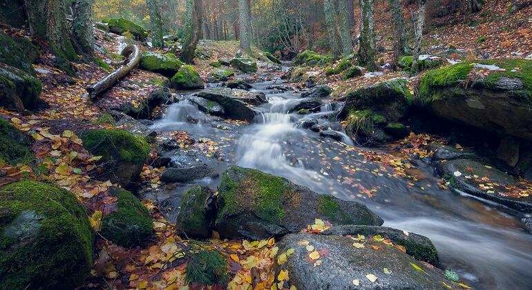 rio de canencia