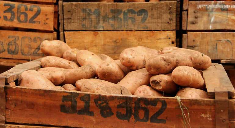 Una caja de patatas de Marruecos