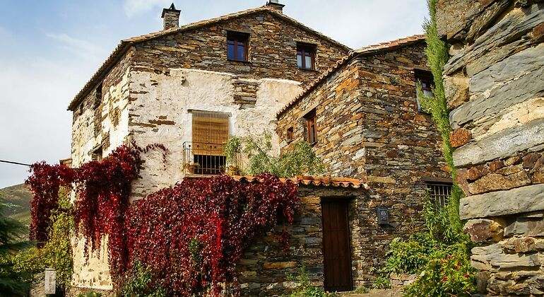 Casa de piedra con hiedra roja en Patones de Arriba