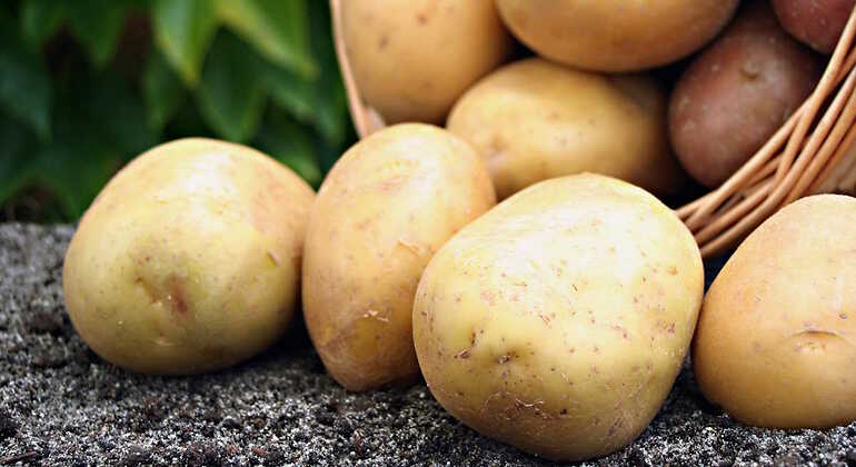 Cesta de patatas
