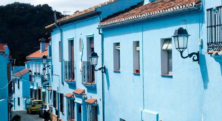 Fachada de casas azules con tejados inclinados